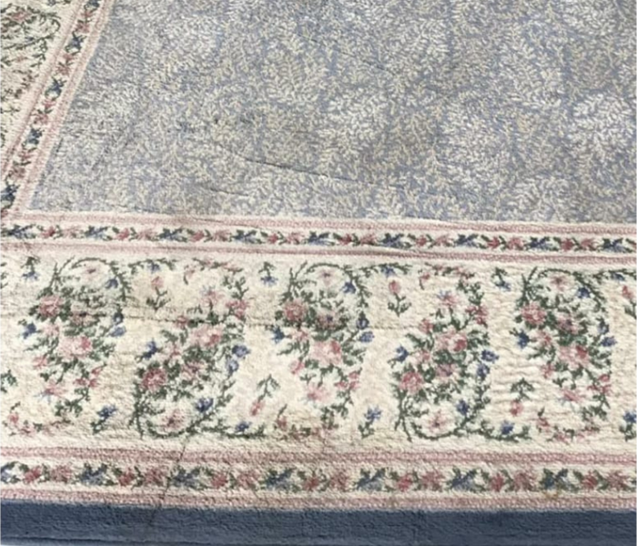 A cleaned rug, where you can see detail in the design.