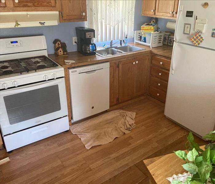 A kitchen and cabinets has been damaged by water.