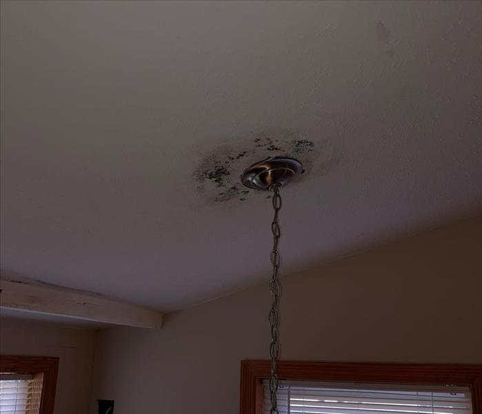 A ceiling has mld damage.