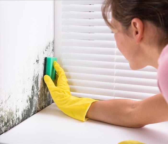 image of woman using chemical on sponge to kill and remove mold from drywall