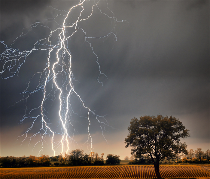Lightning striking the ground in a field