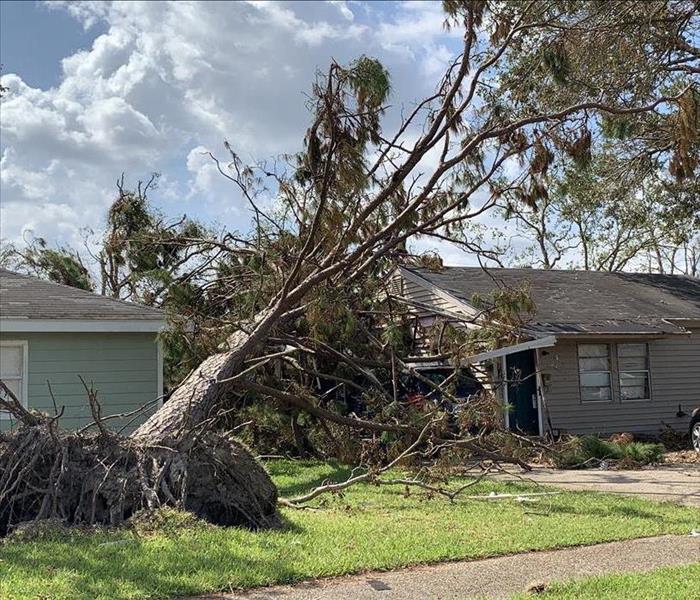 image of fallen tree on house after Hurricane Laura in Lake Charles, LA.