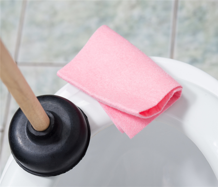 Picture is a close up of a toilet with a plunger and a pink rag next to it. 